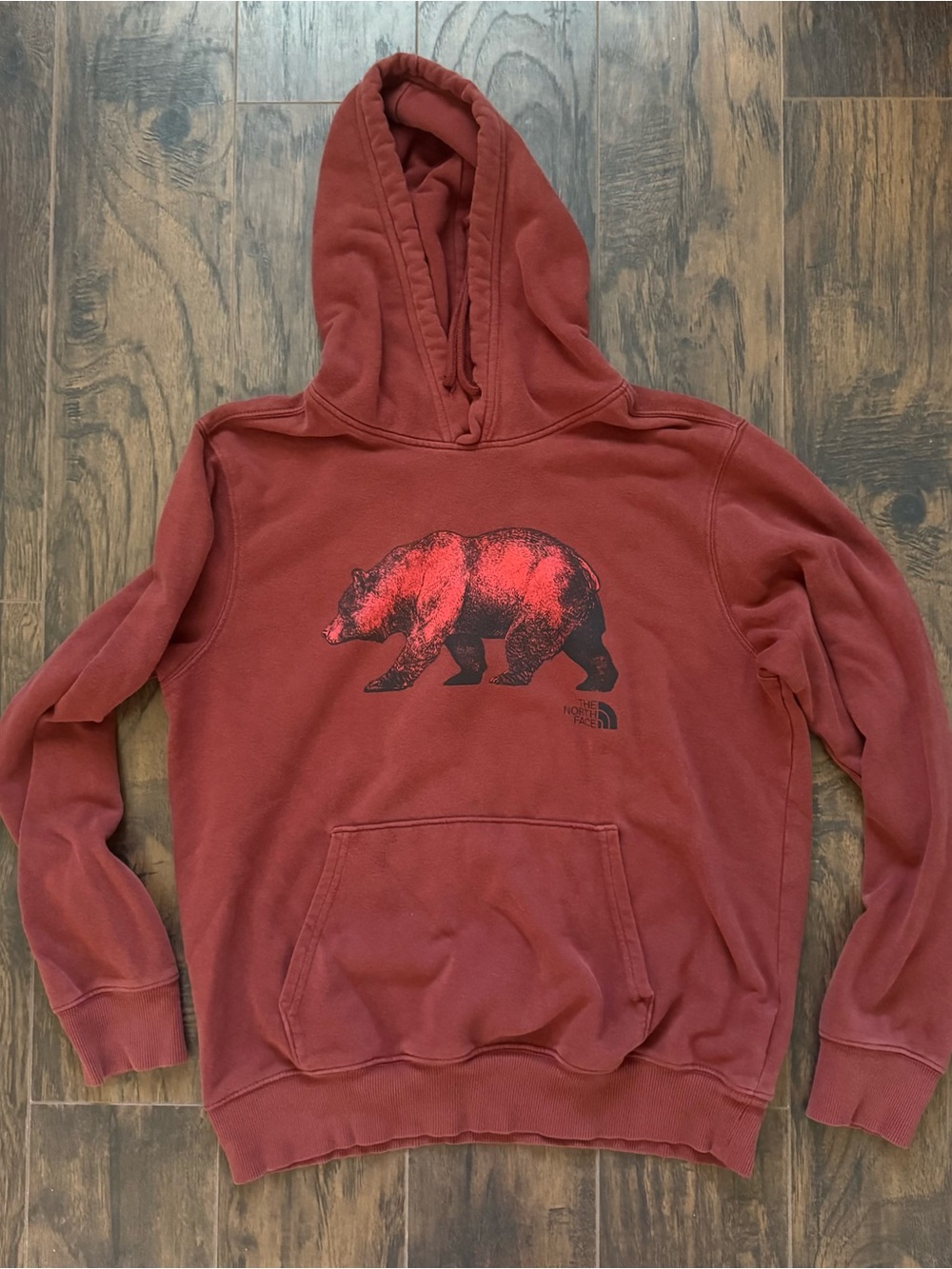 The North Face Medium Brick Red Bear Graphic Pullover Hoodie